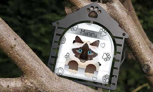 gallery-cats-picture-frame-7