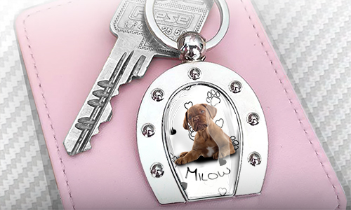 gallery-photo-horseshoe-keychain-animal-3