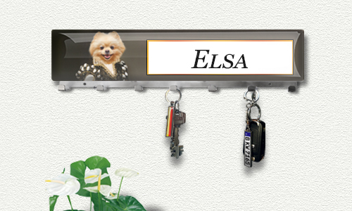 gallery-key-board-animal-royal-3