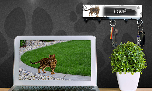 gallery-keyboard-animal-basic-2