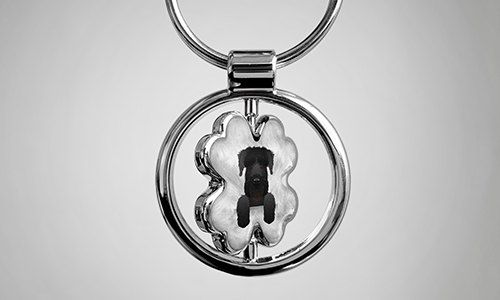 gallery-keychain-leaf-pet-basic-4