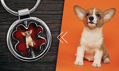 gallery-keychain-leaf-pet-basic-5