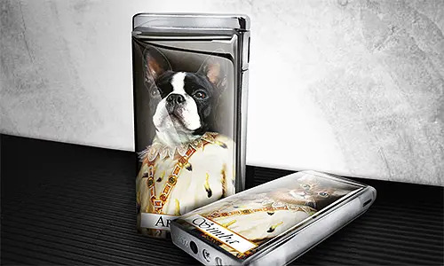gallery-lighter-pet-royal-2