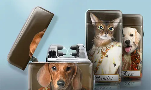 gallery-lighter-pet-royal-4