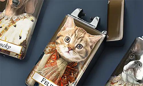 gallery-lighter-pet-royal-5