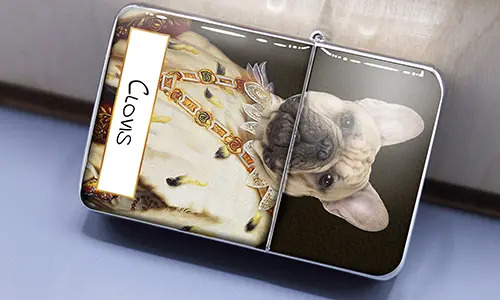 gallery-lighter-pet-royal-8