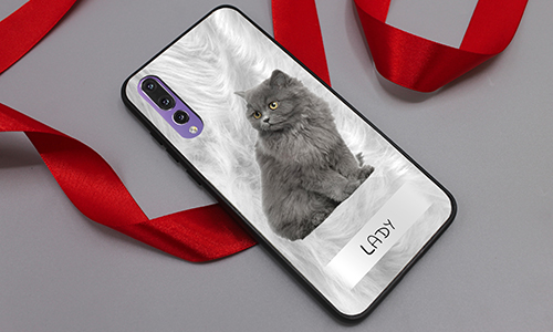 gallery-mobile-case-pet-basic-5